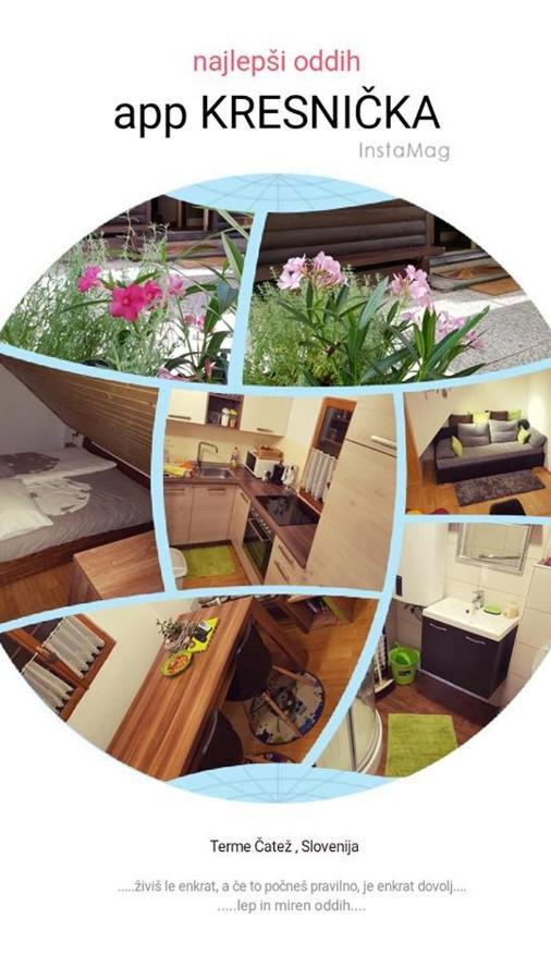 Villa Kresnicka à Catez ob Savi Extérieur photo